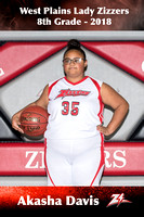 Lady Zizzers Basketball